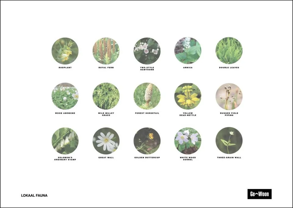 Onderzoek 'Replant The Seed', foto 7